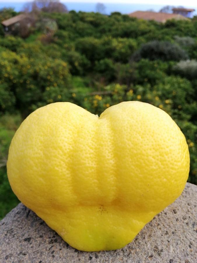Il Limoneto Alloggio per agriturismo *
