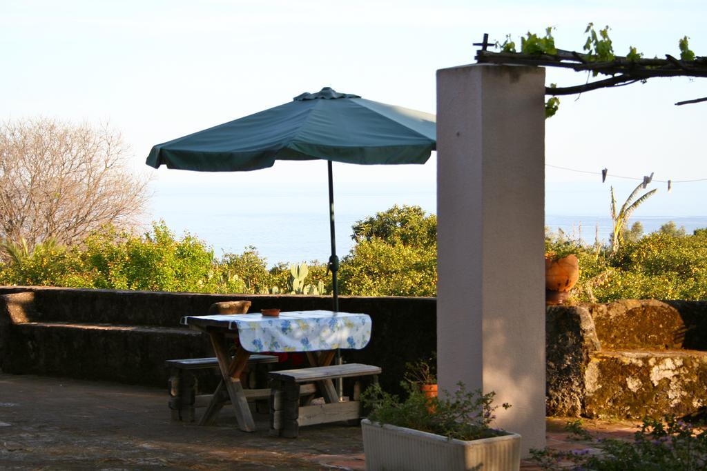 Alloggio per agriturismo Il Limoneto *