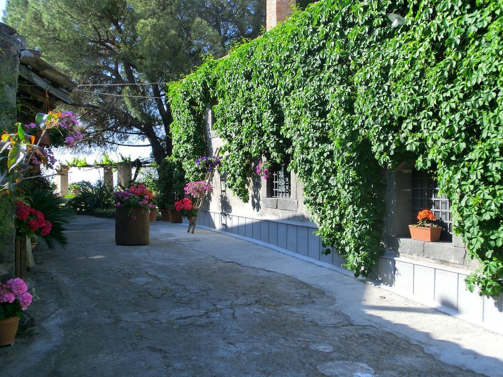 Il Limoneto Alloggio per agriturismo