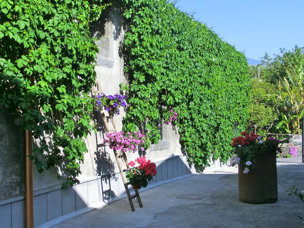 Il Limoneto Alloggio per agriturismo Acireale