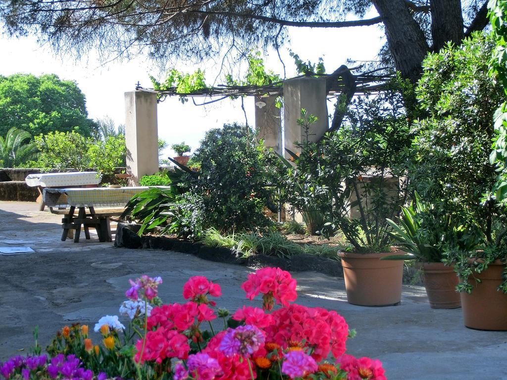 Alloggio per agriturismo Il Limoneto *