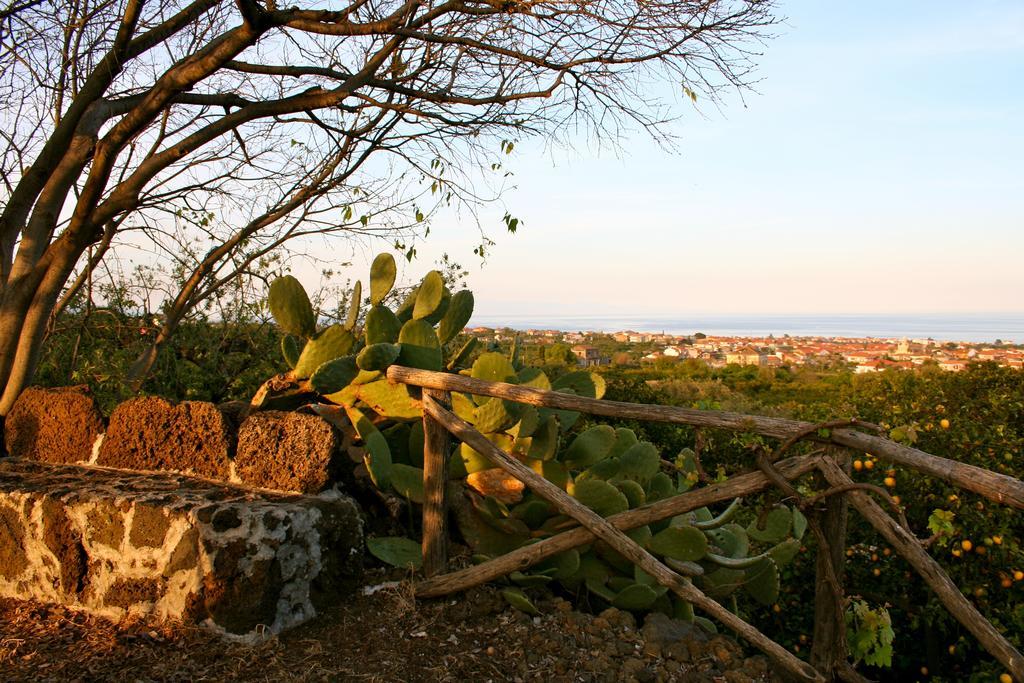 Il Limoneto Alloggio per agriturismo Acireale