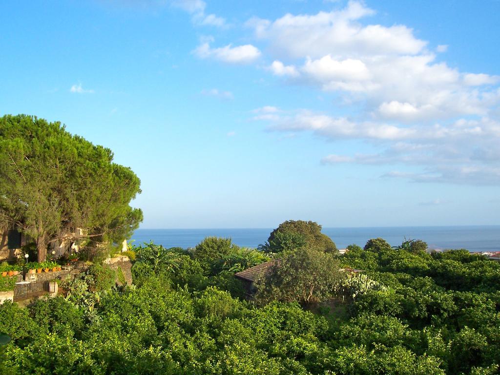 Il Limoneto Alloggio per agriturismo Acireale