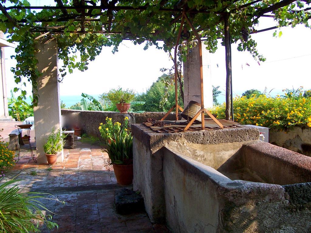 Il Limoneto Alloggio per agriturismo *