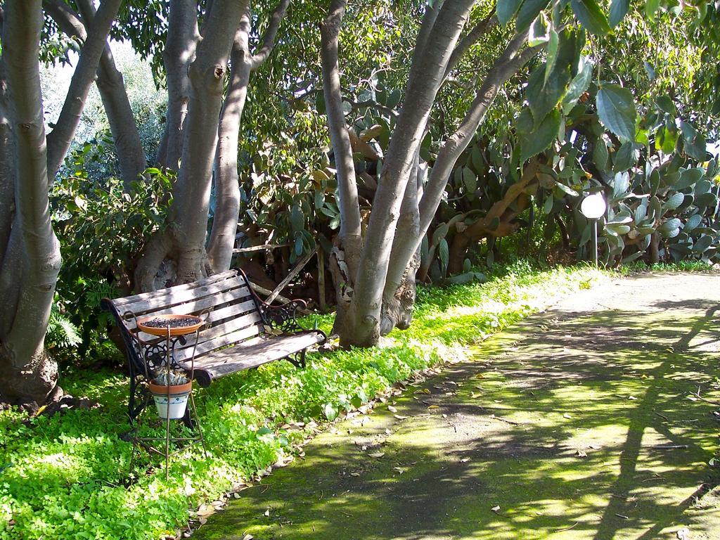 Il Limoneto Alloggio per agriturismo Acireale