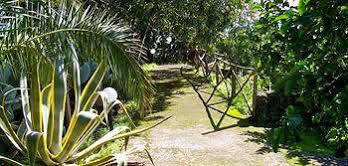 Alloggio per agriturismo Il Limoneto Acireale